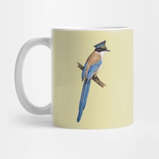 Azure-winged magpie Mug